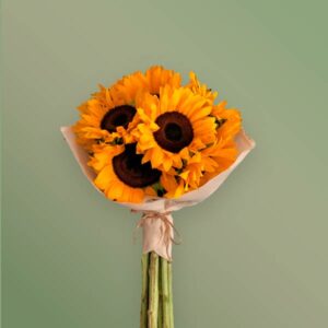 20 girasoles