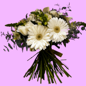 gerberas rosas y perritos ramo