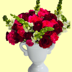 rosas, claveles y perritos