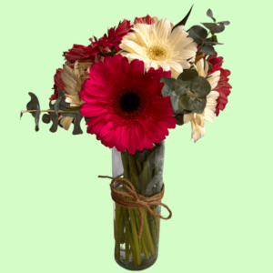 gerberas fucsia y blancas