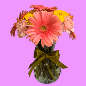 gerberas y claveles para regalar